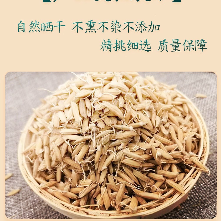 Rice Sprout Dao Ya 500g x 2 Cans Dried Paddy Grain Buds for Herbal Decoction and Tea overview