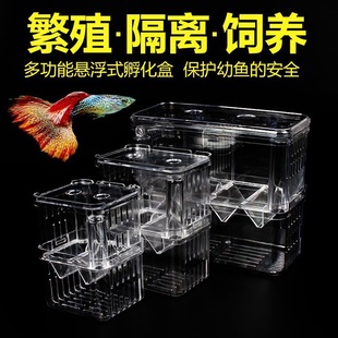 Free Shipping Wholesale Price Peacock Fish Breeding Box Fish Tank Acrylic Isolation Box Extra Large Spawning Hatching House Small Fish