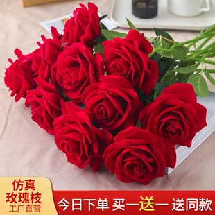 õ�廨��2025�¿�����ϻ��廨�[���͏d�[�O�b�Ʒ�ٻ�