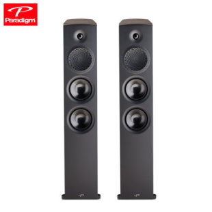 Paradigm/Bailiden Protagonist Premier 700F Floor Box