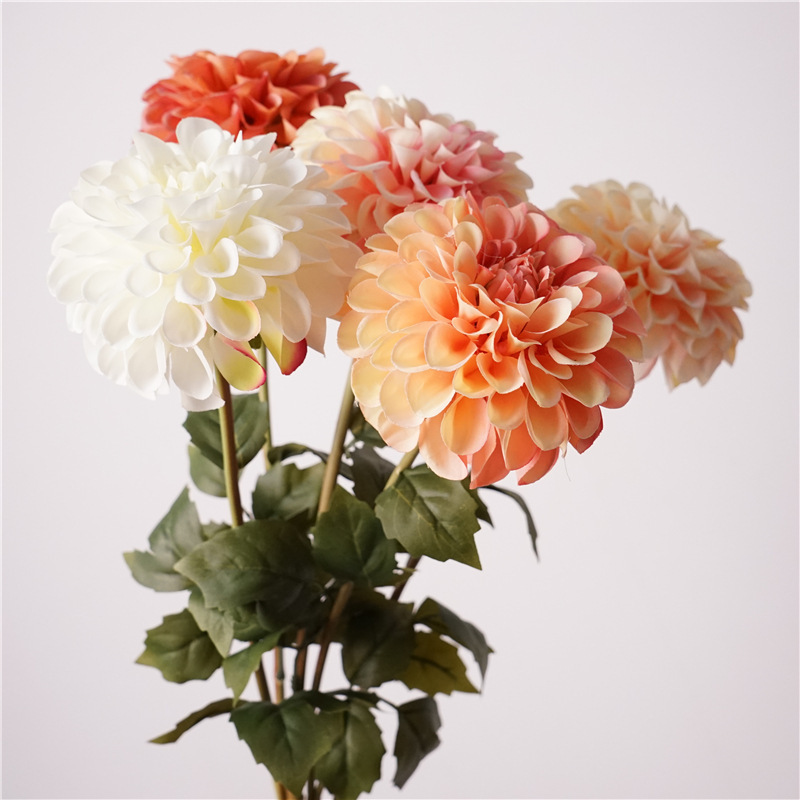 Simulated High-End Realistic Double-Petaled Blooming Dahlia Simulated Autumn Color Dahlia Home Soft Decoration Wedding Fake Flowers Simulated High-End Realistic Double-Petaled Blooming Dahlia Simulated Autumn Color Dahlia Home Soft Decoration Wedding Fake Flowers