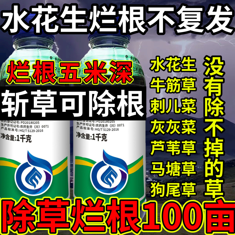 水花生烂根不复发高浓度精草铵膦铵盐草斩草除根杂草烂根除草剂