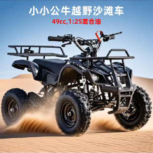 Cross-Border Kidsren's Atv Wholesale 49Cc Two-Stroke Scenic Spot Rental Sports Car All-Terrain Four-Wheel Off-Road Motorcycle
