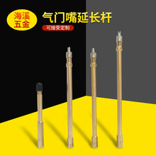 平衡车气门嘴延长杆滑板车独轮车真空胎纯铜充气嘴加长杆美嘴通用