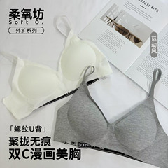 スポーツベスト女性の耐衝撃性とたるみ防止胸をカバーする美しい背中の下着小さなプッシュアップセクシーな 2025 夏薄型ブラジャー