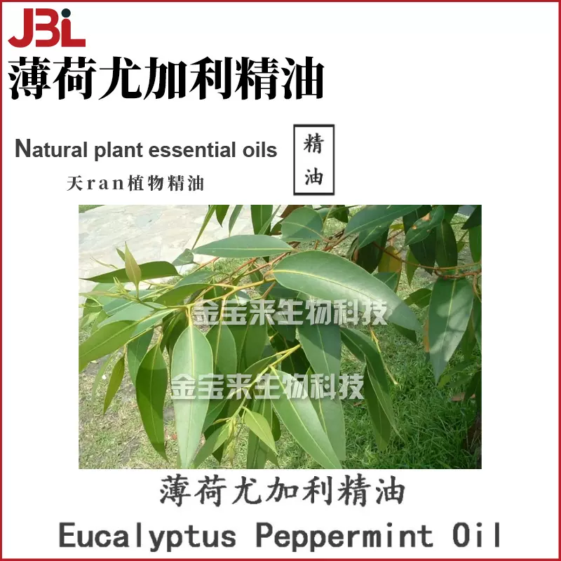 薄荷尤加利精油 薄荷桉树 单方精油 护肤 化妆品原料 10ml