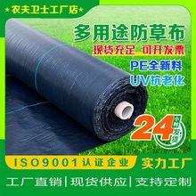 园艺地布农用除草布果园防草布遮草布黑色PE编织透气保护布定制