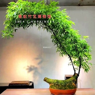 С�~�{����縻�F������Ϙ��Gֲ���������҃ȳ�Ʒ�������F��