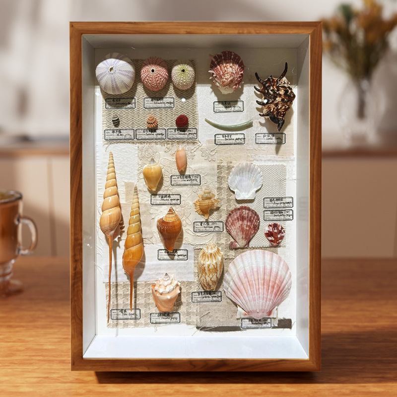 Hollow Three-Dimensional Photo Frame Square Frame Wholesale Wall-Mounted Wooden Dried Flower Specimen Shell Handmade DIY Display Frame