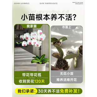 �����m���Ԏ����������m�������҃ȿ͏d�̨�Gֲ��ȫ���ļ����B��