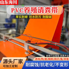 PVC养殖清粪带鸡鸭鹅羊舍鹌鹑兔全套全自动清粪机输送带养殖设备