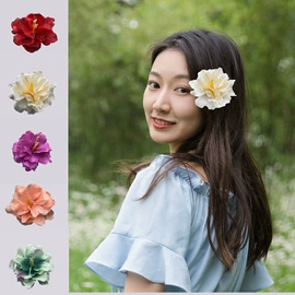 发箍;发带;发夹