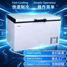 ���������ʽ������ü����䶳������160L��������� 2021��