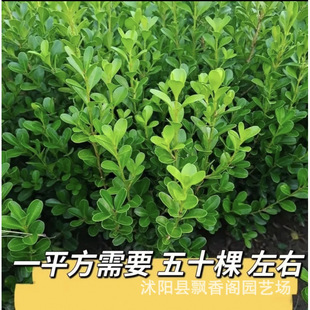 һ�����l�������S����ļ������ͺ��G�h�ʇ���ֲ����~�S��ͥԺ