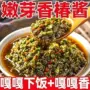 香辣瓶装原味嫩芽香椿酱