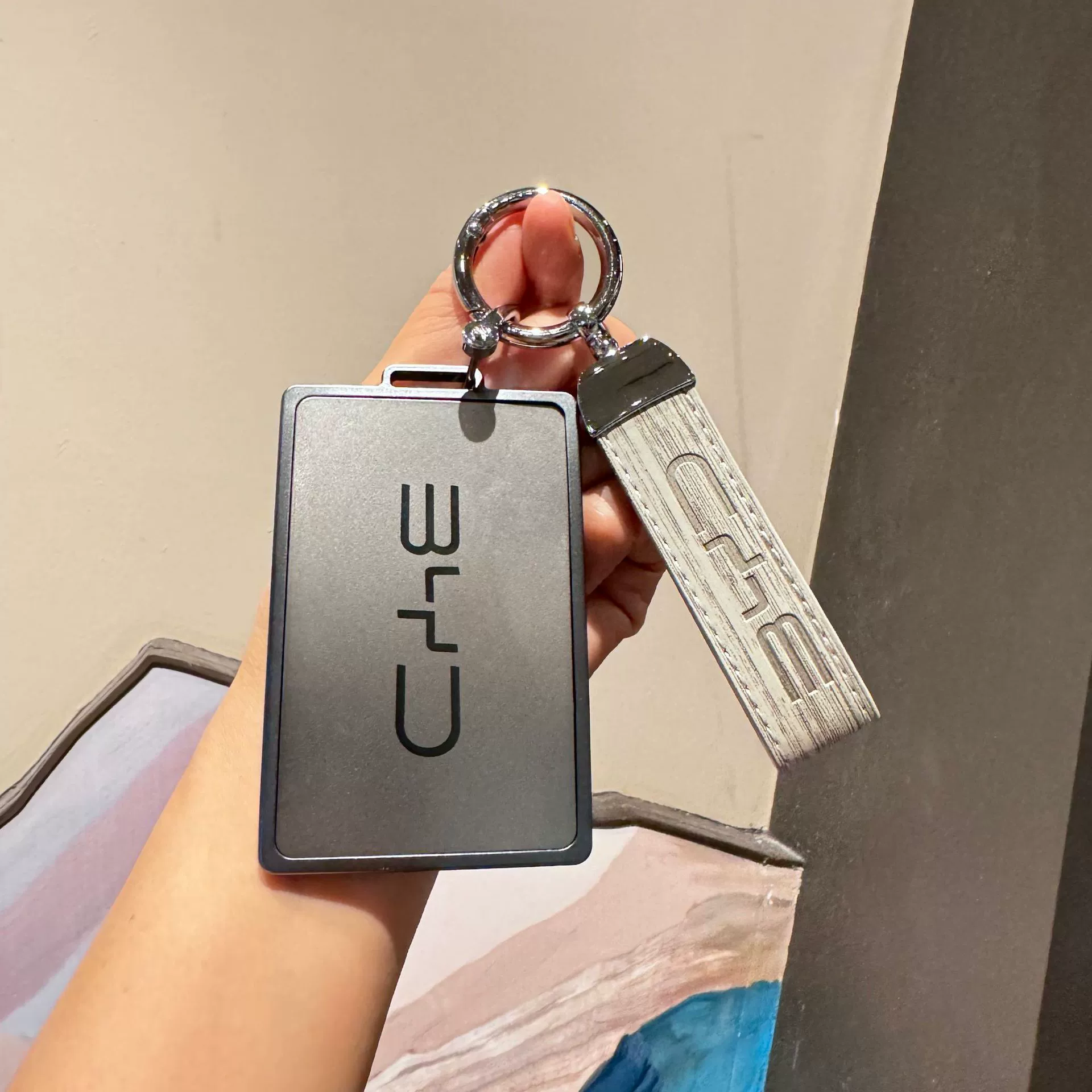 Крышка для ключа BYD с изображением чайки, NFC, дельфин песня Pro, Qin Plus, специальная печать, DMI, высококачественный автомобильный пряжка