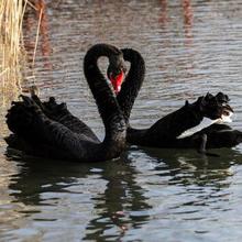 ���ں����Z����w����ߴ������B�����Z�������l�����ṩ�Bֳָ