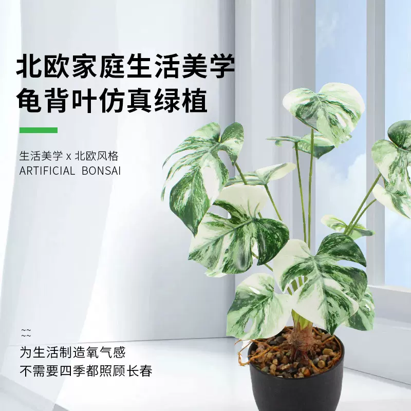 仿真龟背叶水培绿植批发拍照背景装饰植物3D白锦人造龟背竹