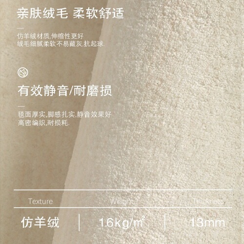 New simple carpet living room home thickened bedroom bedside floor mat large area full paving 2024 light luxury and high-end sense