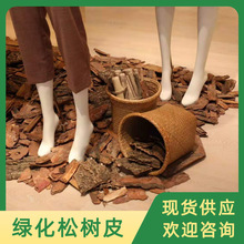 �@�־G�����ʹ�ĥ�ɘ�Ƥ ͥԺ���@�쾰�ЙC���w�� ���@�b�Ƥ