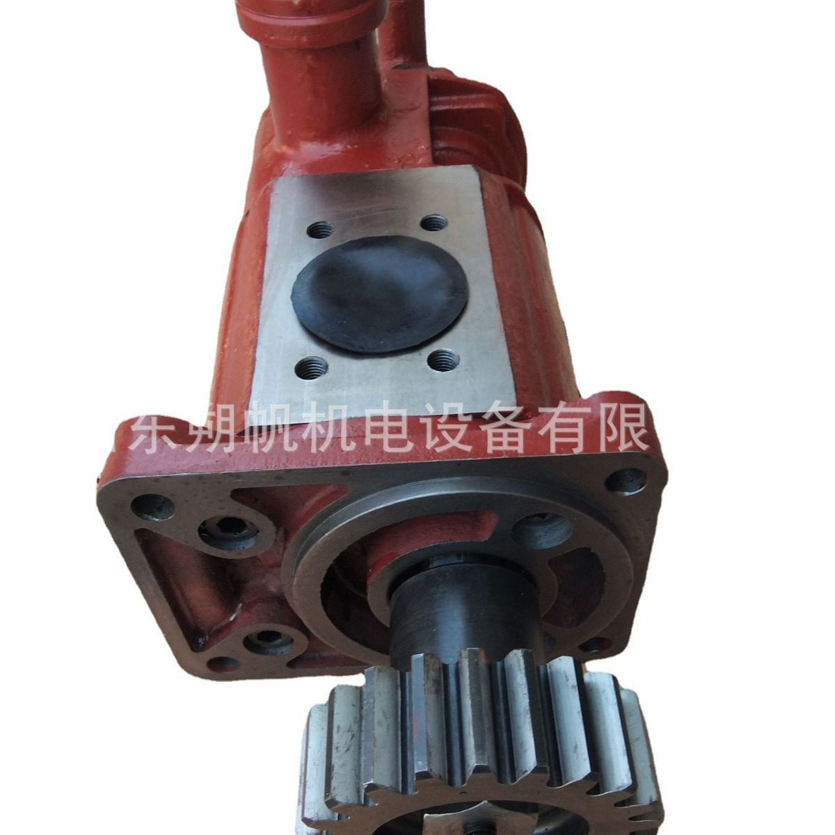 淄博淄柴L250船用柴油机6L250-62滑油燃油泵 右机
