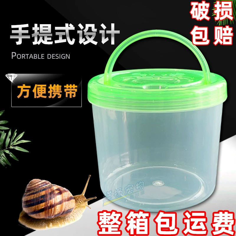 Детская ручная маленькая Рыбная бутылка парк Рыбное ведро мини-коробка для домашних животных небьющаяся Золотая рыбка Танк черепаха бак боксерская чашка маленькая черепаха бутылка