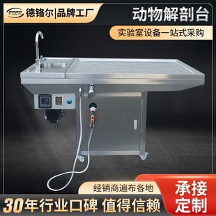Stainless Steel Multifunctional Exhaust Animal Anatomy Table Liftable Anatomy Table Pet Hospital Cat and Dog Operating Table