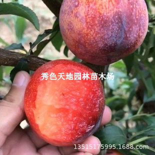 �޽Ӈ���7̖���Ә����ͺ�������̖���������Ե����ϱ�������Y��