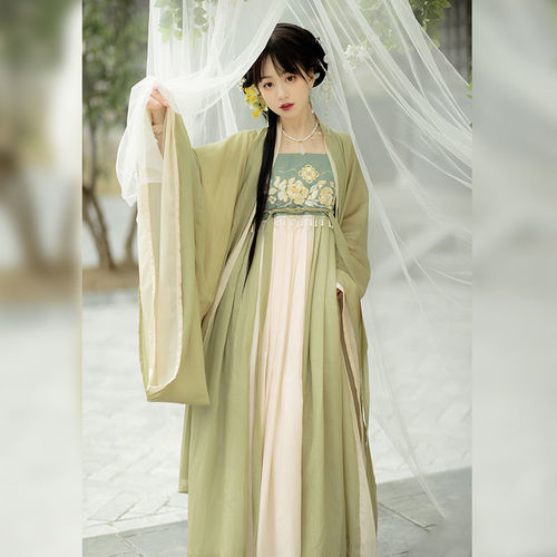 Tang Dynasty Hanfu Fairy dress for women tang myrobalan dress hanfu adult female