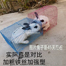 ���ӻ\���\ݔ����y��С�û\С���\�Ӵ󷽻\�����W�^�\��Ȧ�\�[��
