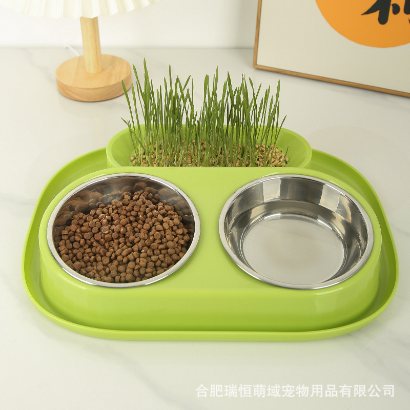 Nuevo estilo transfronterizo caja de hierba para gatos hidropónica, bocadillos para gatos, menta para gatos, plantación hidropónica sin suelo, juego de maceta de hierba para gatos, caja de hierba para gatos