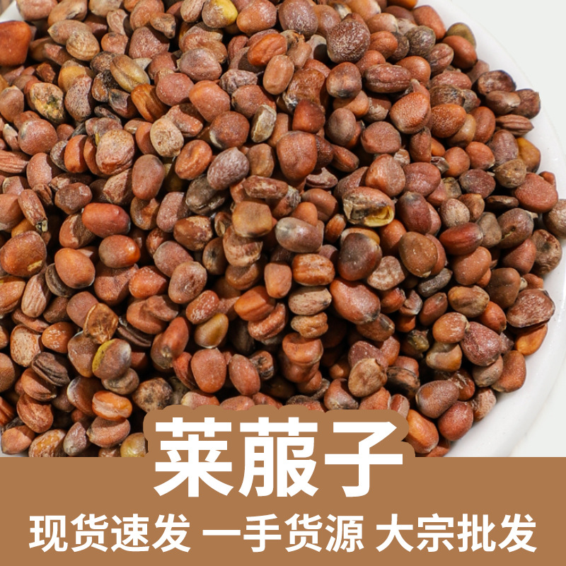 Radish Seed Lai Fu Zi 500g Dried Raphanus sativus Seeds for Decoction and Tea key features