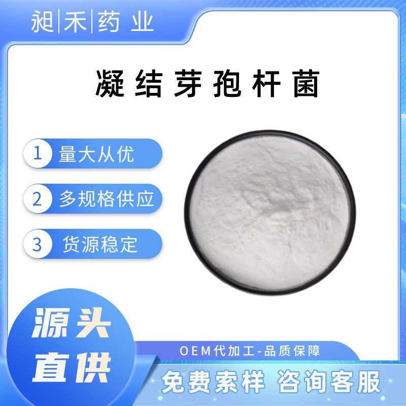 凝结芽孢杆菌100亿200亿cfu/g食品级冻干型活性益生菌粉 现货包邮