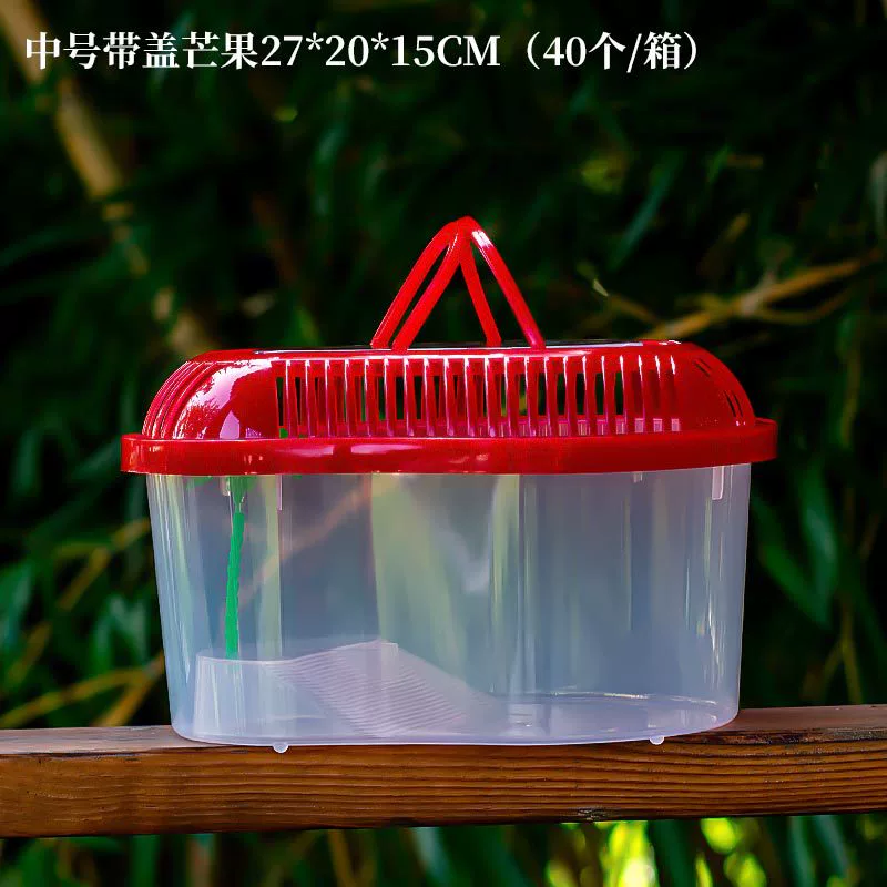 Transparent plastic pet box / small aquarium, portable ventilated tank, multiple sizes 10×7.5–39×28×17 cm