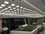 商场大厅定制工程吊灯