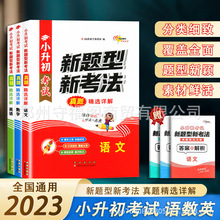 2023新版小升初考试新题型新考法真题精选详解语文数学英语同步