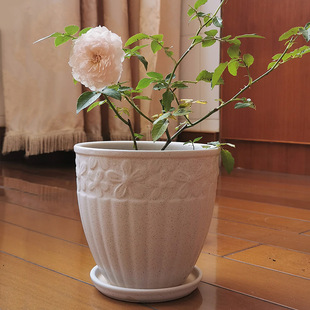 ���P�մɰ�ɫ�����մɴ�̖�͹Ŵɻ��莧�бP�����¼��������Ի���