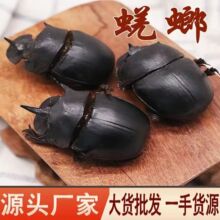 ���� ��܊ ��ș��ʺ���� �L�S�x ��܇�� ��ţ������  ����ă�