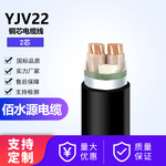 国标认证YJV22电缆线纯铜yjv22铜芯电缆线2芯多型号电力电缆