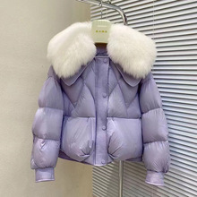 2024С¿̿ëIrкӺqɱů