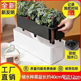 阳台窄花盆长方形加长花槽种菜盆长条塑料种植箱自吸水窗台草莓盆