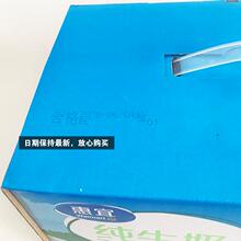 惠宜纯牛奶200ml*16礼盒装 3.2L手提送礼儿童老人补钙香浓包邮