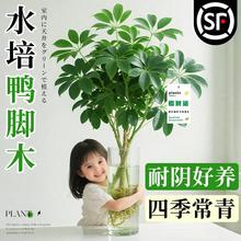 ˮ�����_ľ�Ϙ��˷���ؔ����͏d���ԾGֲ���k���҃�����ˮ�B����