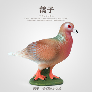 ���@�b����w�݄���ģ����������������������J֪���նY��[��
