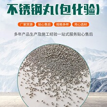 不锈钢丸430/410/201/304铝件喷砂专用 不锈钢丝切丸多种材质加工