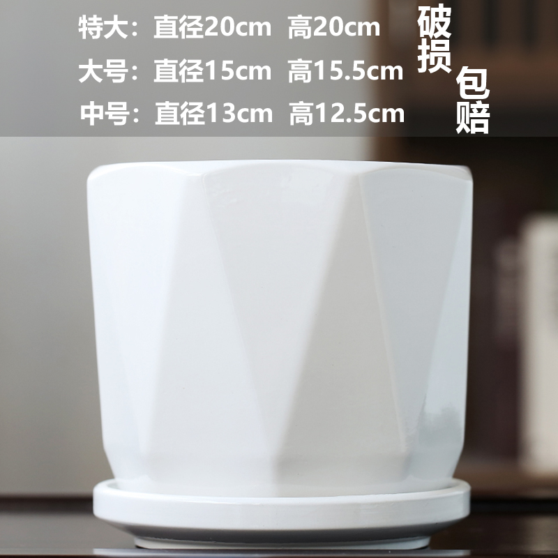 단일 대형 순백색 V 패턴