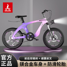 现货供应凤凰镁合金儿童山地自行车男女孩18/20寸中大童6-8-10岁