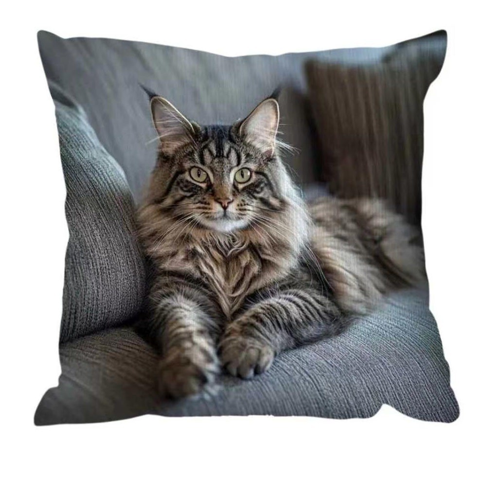 Explosiones transfronterizas bonitas y interesantes animales al aire libre impermeables almohada para jugar con teléfonos móviles para decorar la fiesta de gatos y gatos en la sala de estar sofá almohada