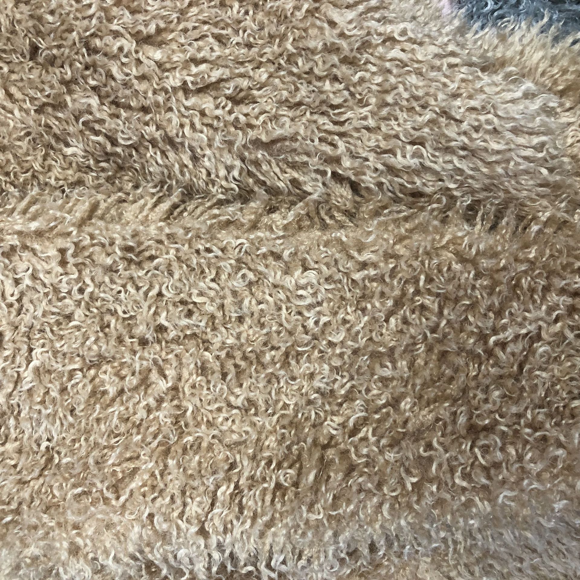5CM lana de playa cachemira de Alaska peluche larga bolsa de moda juguetes tela de peluche