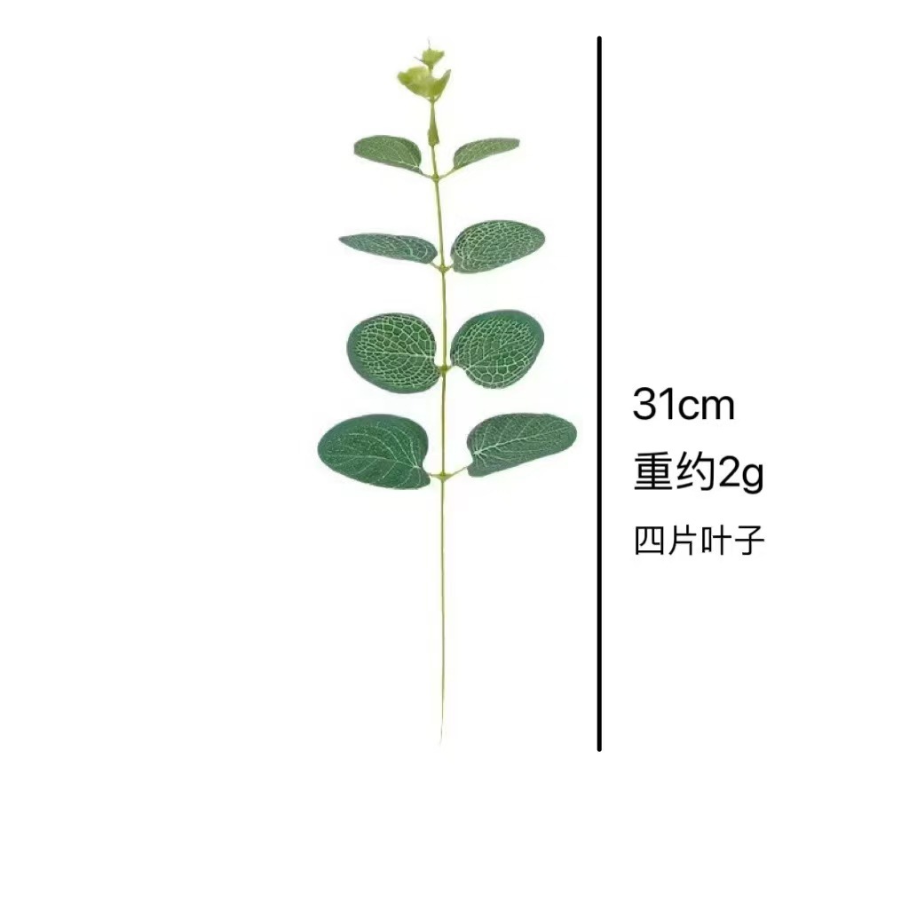 단일 돈 잎 끈